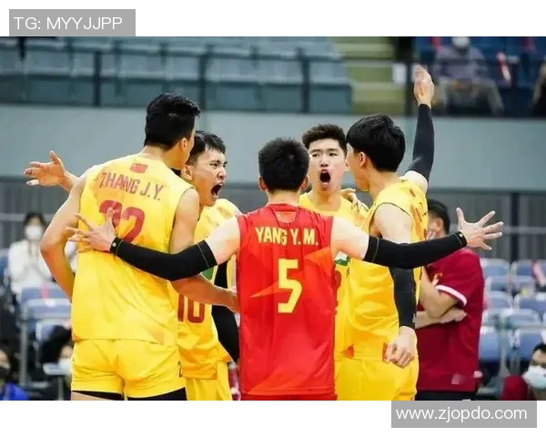 杭州排球队实力引发热议球迷观点各异争论不断